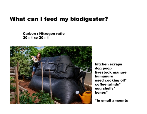 Intro biogas page 5