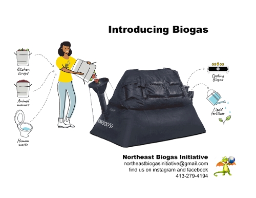 What is Biogas
